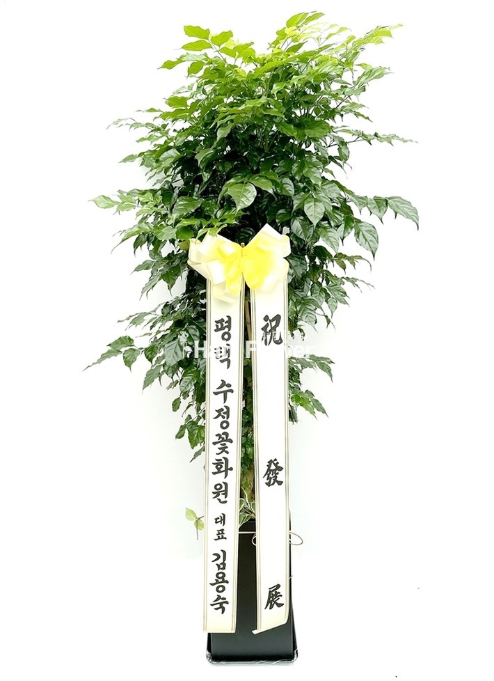 상세이미지