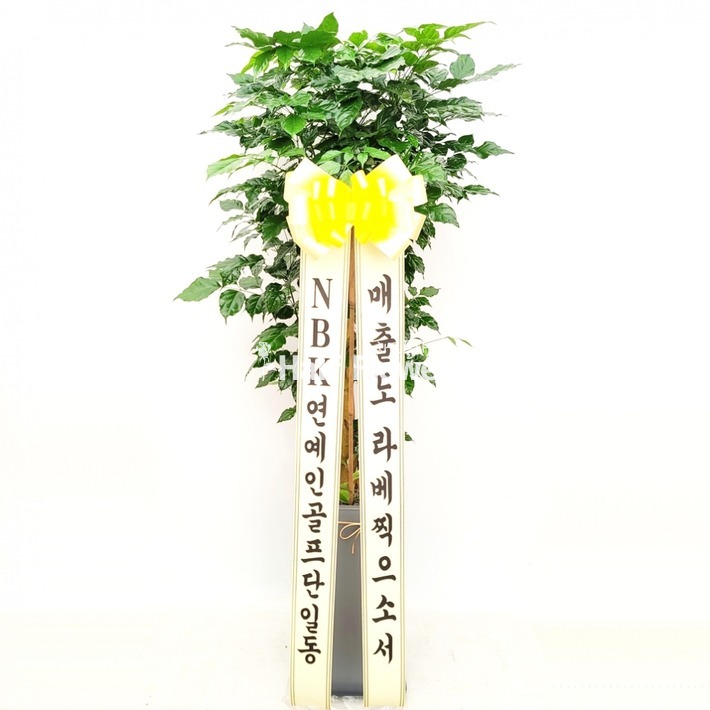 상세이미지