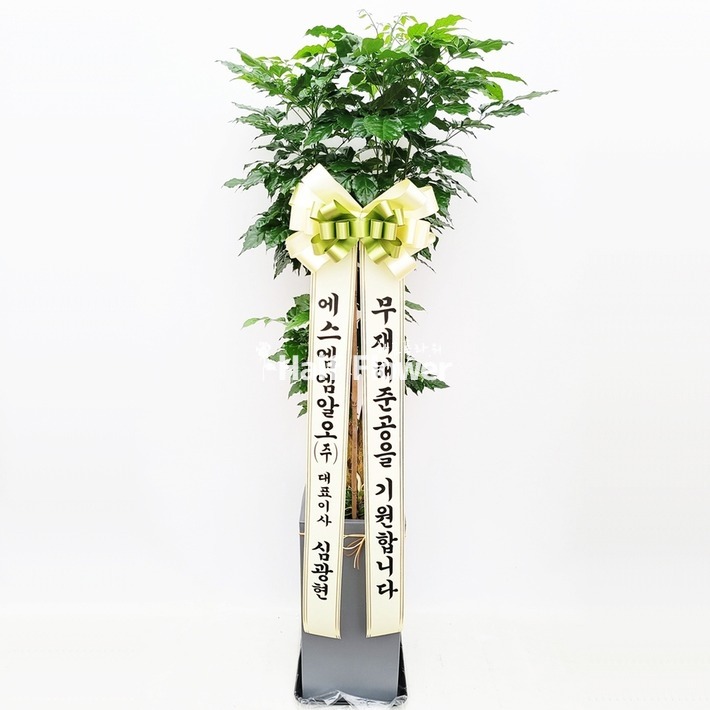 상세이미지